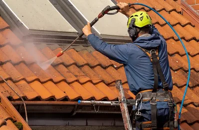 Démoussage et hydrofuge de toiture à Géovreisset